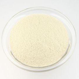 Technical Gelatine, Powder 100gr.