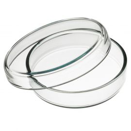 Petri dish, glass Ø 80mm