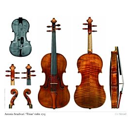 Poster Stradivari violin 