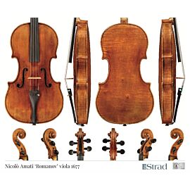 Poster Amati Nicolò Viola 