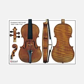 Poster Guarneri del Gesù violin 