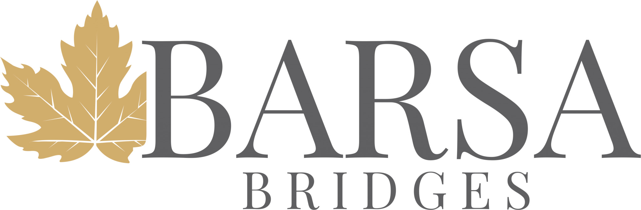 Barsa bridges